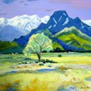 ���t�̏�O�x